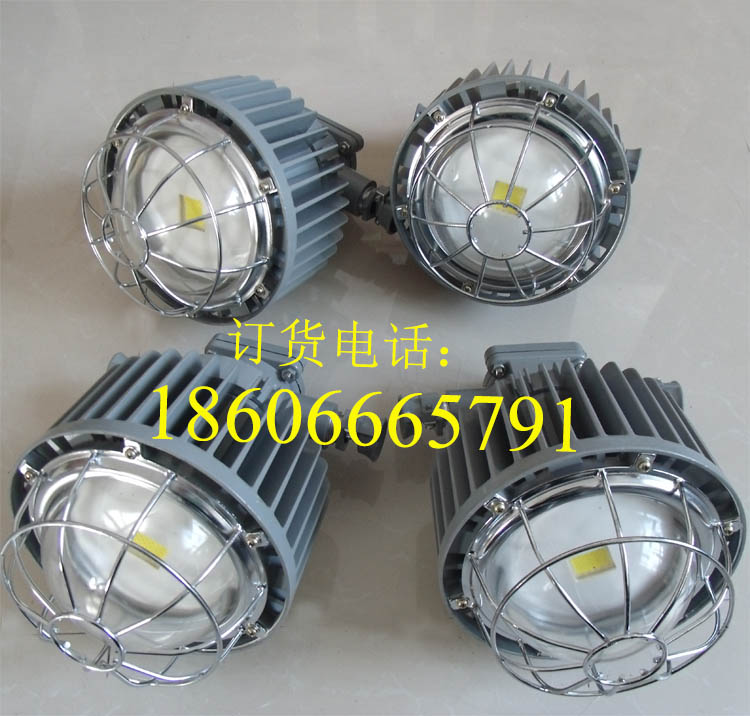 DGS40/127L(A)礦用隔爆型LED巷道燈