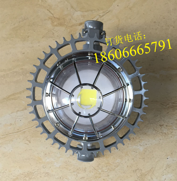 DGS40/127L(A)礦用隔爆型LED巷道燈