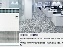 福州家用中央空調(diào)，供應(yīng)福建中央空調(diào)