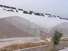 海納溫室材料供應優良大棚增溫增溫膜