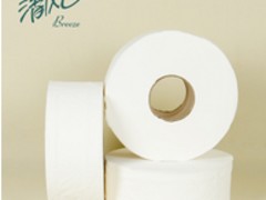 青島優(yōu)質(zhì)的青島家庭用紙專業(yè)報價_家庭用紙代理加盟