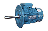 造型美觀立臥式電動機——熱銷的YX3-B35立臥式電動機在哪可以買到