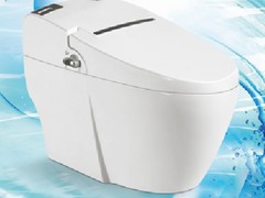 中國連體座便器_供應(yīng)上等連體座便器