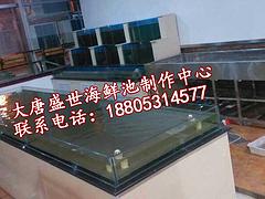 海鮮池魚缸酒店菜品展臺專業(yè)酒店冰鮮臺_推薦專業(yè)酒店冰鮮臺|四川專業(yè)酒店冰鮮臺