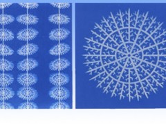 廣西裕眾環保設備供應高質量的半軟性填料——廣西生物填料供應