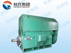 Y2系列鼠籠電機(jī)在西安哪里可以買(mǎi)到|甘南Y2系列鼠籠電機(jī)生產(chǎn)批發(fā)
