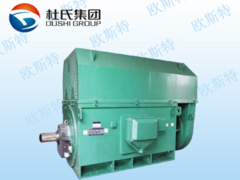廠價直銷供應商_供應歐斯特電機劃算的YKK系列高壓電動機