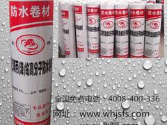 常德廚衛(wèi)防水涂料 供應湖北熱銷的KII彈性防水漿料