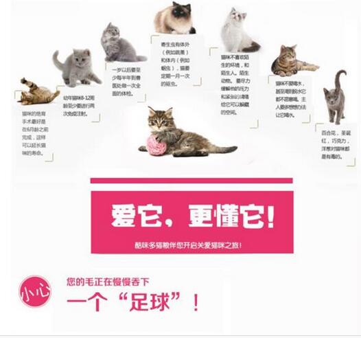 柳州狗糧