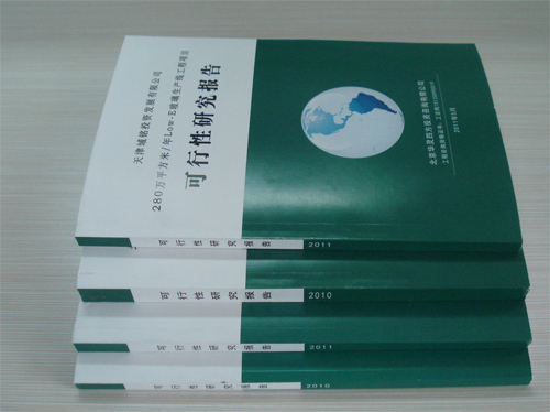 麗江專項建設基金投資項目可行性研究報告