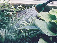 漳州手持灑水器_大量供應(yīng)價位合理的QJ100-｜手持長柄灑水器
