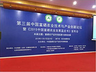 優(yōu)質(zhì)的夢(mèng)江南臍橙，新品夢(mèng)江南批發(fā)【廣東】