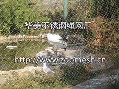 不銹鋼絲繩網品牌好，河北超值的不銹鋼絲繩網