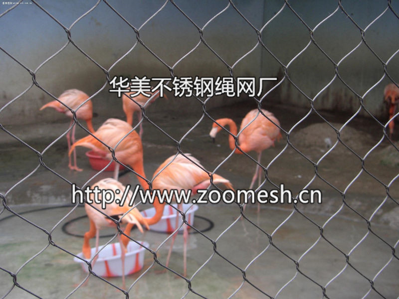 河北信譽好的小貓科動物圍網|耐用的小貓科動物圍網