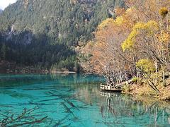 旅行社排行，要zfw好的九寨尊貴美食之旅六日游優(yōu)選快樂(lè)神仙