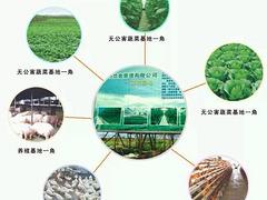 誠信的蔬菜農副產品糧油配送廣東提供    ：{yl}的農副產品配送