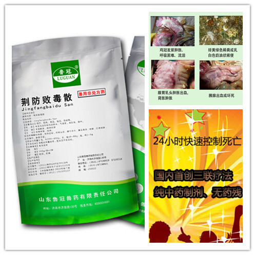禽病診療中心，教你如何做好家禽流感預(yù)防工作！
