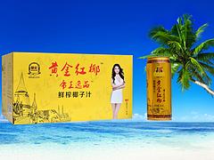 海口海南tr椰汁供應商推薦——海口tr椰汁代理