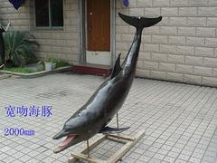 福州鳥類標本，價格適中的鳥類標本品牌推薦