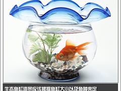 生態(tài)魚(yú)缸制作!生態(tài)魚(yú)缸代理!生態(tài)魚(yú)缸加盟!!青州美家樂(lè)