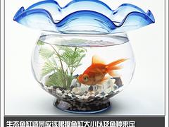 出售山東熱賣生態(tài)魚缸_加工生態(tài)魚缸