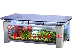 青島生態魚缸|哪兒能買到可信賴的生態魚缸