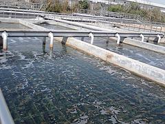 廈門哪里有提供環(huán)保污水廢氣噪音項目：專業(yè)的漳州噪音處理