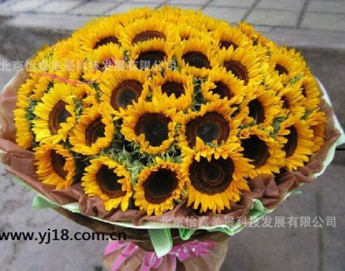 北京生日鮮花派送 北京朝陽區鮮花預定 情人節玫瑰花束價格