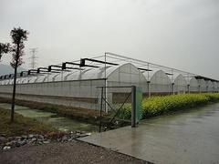 新型智能溫室造價——杜鵑溫室大棚建造