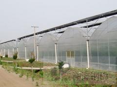 黃瓜苗溫室大棚建造_新型智能溫室報價