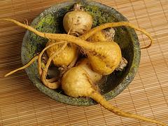 優(yōu)惠的姬松茸——信譽(yù)好的姬松茸供應(yīng)商