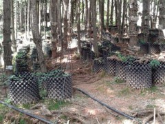 水肥一體化價格范圍 長期供應水肥一體化設備