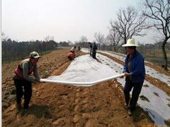 四川地膜_想买高质量的地膜就到赓坤塑料