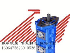 青州齒輪泵廠家直銷雙聯泵——濰坊哪里買品質良好的雙聯齒輪泵