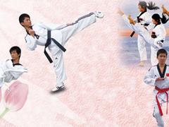 私立武術學校價位——品牌好的私立武術學校