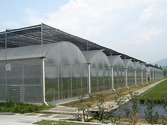 紋絡式溫室大棚供應商 哪里的紋絡式溫室大棚口碑好