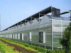 連棟溫室報價_山東精良的連棟溫室