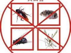 高水平的蘭州專業(yè)滅鼠【薦】——隴西蘭州滅鼠就找環(huán)景蟲控