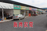 南寧專業(yè)的農(nóng)資市場(chǎng)商鋪?zhàn)赓U公司是哪家 種子批發(fā)價(jià)格