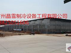 廣州專業(yè)的冷庫批售_惠州冷庫安裝