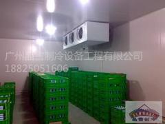 具有口碑的广州酒店厨房冷库安装公司推荐——质量好的厨房冷库