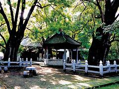 要找口碑好的古城景點(diǎn)優(yōu)選青州古城文化旅游：哪里有古城景點(diǎn)