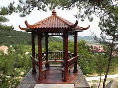 透水地坪哪家好——優質的青島透水地坪供應