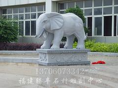 安溪福建大象石雕刻_專業(yè)的動物雕刻提供商—騰豐石材