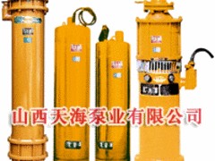 高質(zhì)量的天海WQD型污水污物潛水電泵供應(yīng)信息 河南天海潛水電泵