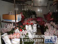 广东质量好的鲜花冷库建造公司—广州银雪制冷—芳村花卉冷库安装设计