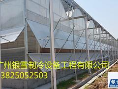 【薦】本地的雙溫冷庫建造：河源雙溫冷庫