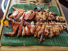 市場上優(yōu)質(zhì)的竹鼠養(yǎng)殖在哪里可以找到，廣東竹鼠養(yǎng)殖