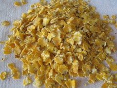 羊飼料玉米壓片多少錢_劃算的羊飼料玉米壓片哪里有