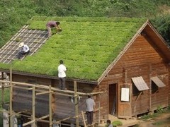 福建屋頂綠化 御景園可信賴(lài)的屋頂綠化推薦